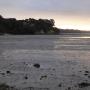 Apartmanok - Auckland, A Peaceful Haven surrounded by nature next to the sea