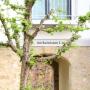Penzióny - Sinsheim, Alte Stadtmauer - Apartment