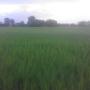Case di campagna - Bharatpur, Himalayan view house