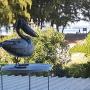 Holiday homes - L'Ermitage-Les-Bains, Le Pelican
