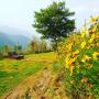 Zelt-Lodges - Nainital, Nature Drops