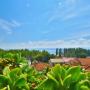 Apartmanok - Omiš, Apartments Zvone