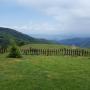 Vily - Lesnovo, Vila Romanovi - Ponikva