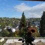 Apartmány - Niederbachem, Apartment Werner