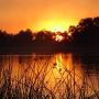 Campeggi di lusso - Maun, Hippo Island Camp