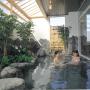 Отели - Юдзава, Hotel Yuzawa Yuzawa Denkiya