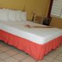 Hotel - Ocho Rios, Pineapple Court Hotel