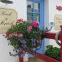 Pensionen - Plouhinec, Back To breizh