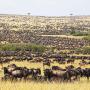 Luxury tents - Narok, Tinka tours