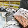 Рёканы - Мацумото, Tsuruya Ryokan