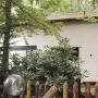 Dovolenkové domy - Lissendorf, Ferienhaus Ammermann