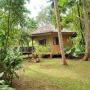 Apartmány - Hikkaduwa, Guruwaththa Eco Lodge