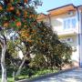 Szállodák - Novi Afon, Guest House Divny Sad