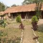 Hotel - Chitwan, Chital lodge