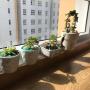 Apartmanok - Ho Si Minh-város, Sunview Town