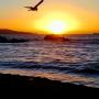 B&B (nocľahy s raňajkami) - Viña del Mar, Host Family