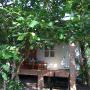Chaty - Phu Quoc, Orchard Fruit Farm Bungalow