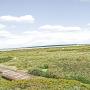 Vily - Seabrook Island, Pelican Watch 1331