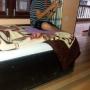 Hotely - Sauraha, Hotel Lassho
