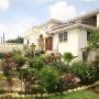 Guest houses - Saint James, Palm Paradise Guest House and Apartments