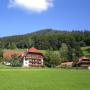 Apartmány - Mühlenbach, Geigerbauernhof