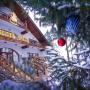 Hotels - Pirnove, Veselyj Zajets