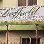 Bed and breakfasts - Cagayan de Oro, Daffodil Travelers Inn