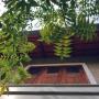 Homestays - Alleppey, Casa Evelyn Sea Side Inn