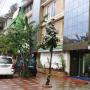 Hotels - Gangtok, Maya INN