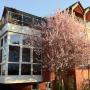 Penzióny - Bodenheim, Gästehaus Kirschgarten