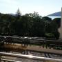 Apartments - Herceg-Novi, Bellissimo