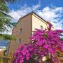 Appartamenti - Pola (Pula), Apartments Gracijela 1152