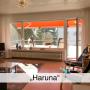 Apartmány - Langenargen, Ferienwohnung Haruna