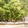 Penzióny - Friesenheim, Dino's Trinacria