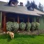 Case vacanze - Zlatibor, Vila Jelka