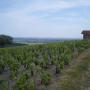 Case di campagna - Villié-Morgon, Gîte le Chêne du Py