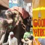Hostels - Varanasi, Good Vibes hostel