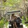 Villas - Seminyak, The Kayana