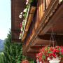 Apartmány - Alpbach, Kaiserhof