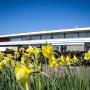 Hotely - Groningen, Nescio Hotel Groningen