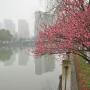 Отели - Ханчжоу, Zhejiang Xiangyuan Hotel