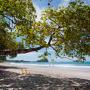 Hotels - Manuel Antonio, Karahe Beach Hotel