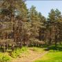Apartmány - Jūrmala, Seaside and Pinewood