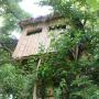 Apartments - Martvili, Eagle Nest