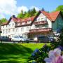 Hotely - Friedrichroda, Waldhotel Friedrichroda
