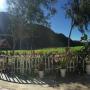 Lodges - Phong Nha, Phong Nha Rice Field Homestay