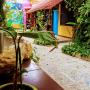 Hostely - Valladolid, Hostel Candelaria