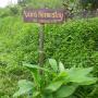 Hostels - Ha Giang, Van's Homestay