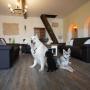 Vidiecke domy - Deudesfeld, Villa Romantica large holiday home for up to 12 people, dogs welcome