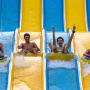 Отели - Рас-эль-Хайма, Stunning pool view Room with Aqua Park Tickets
